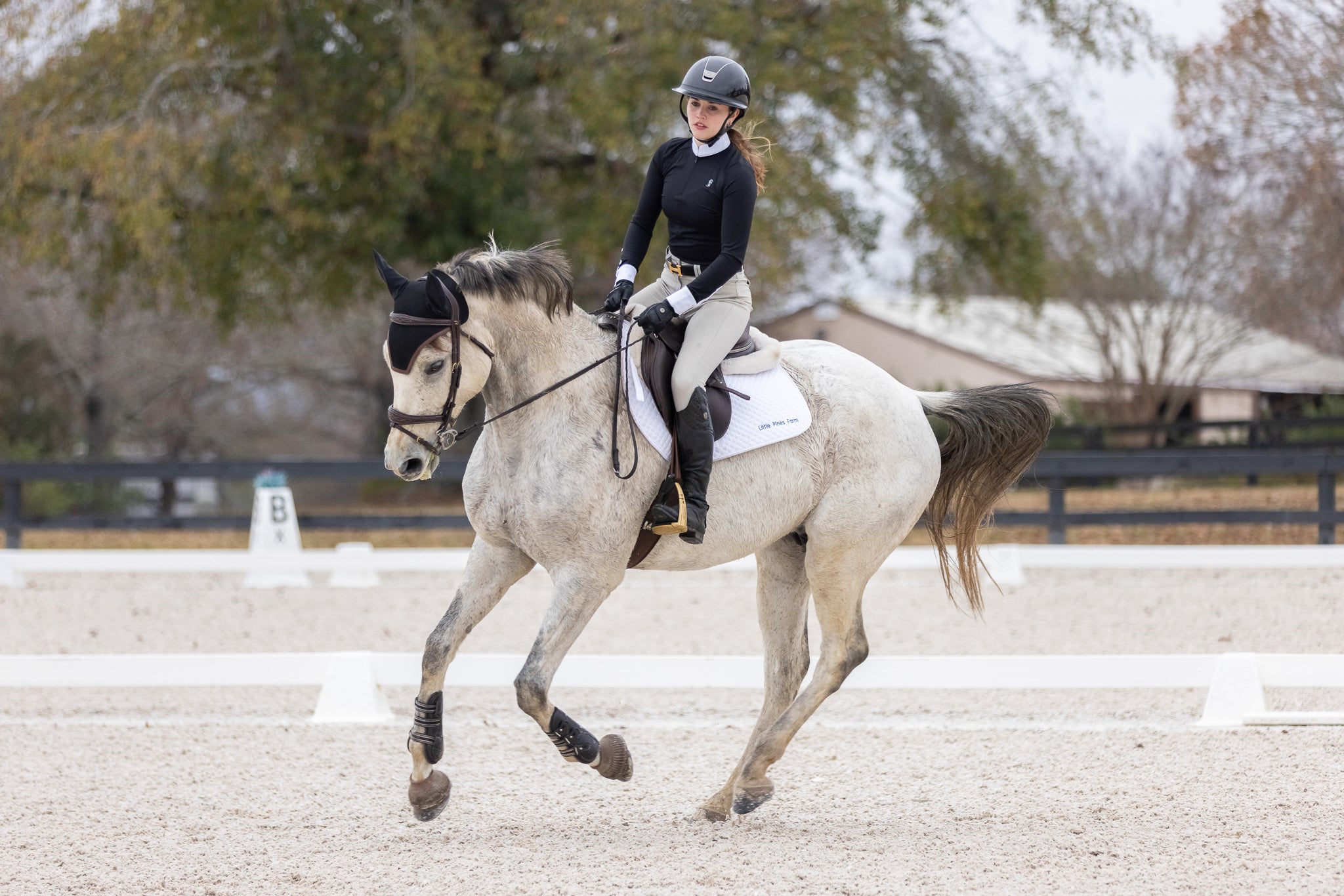 The Marian Show Shirt - Black