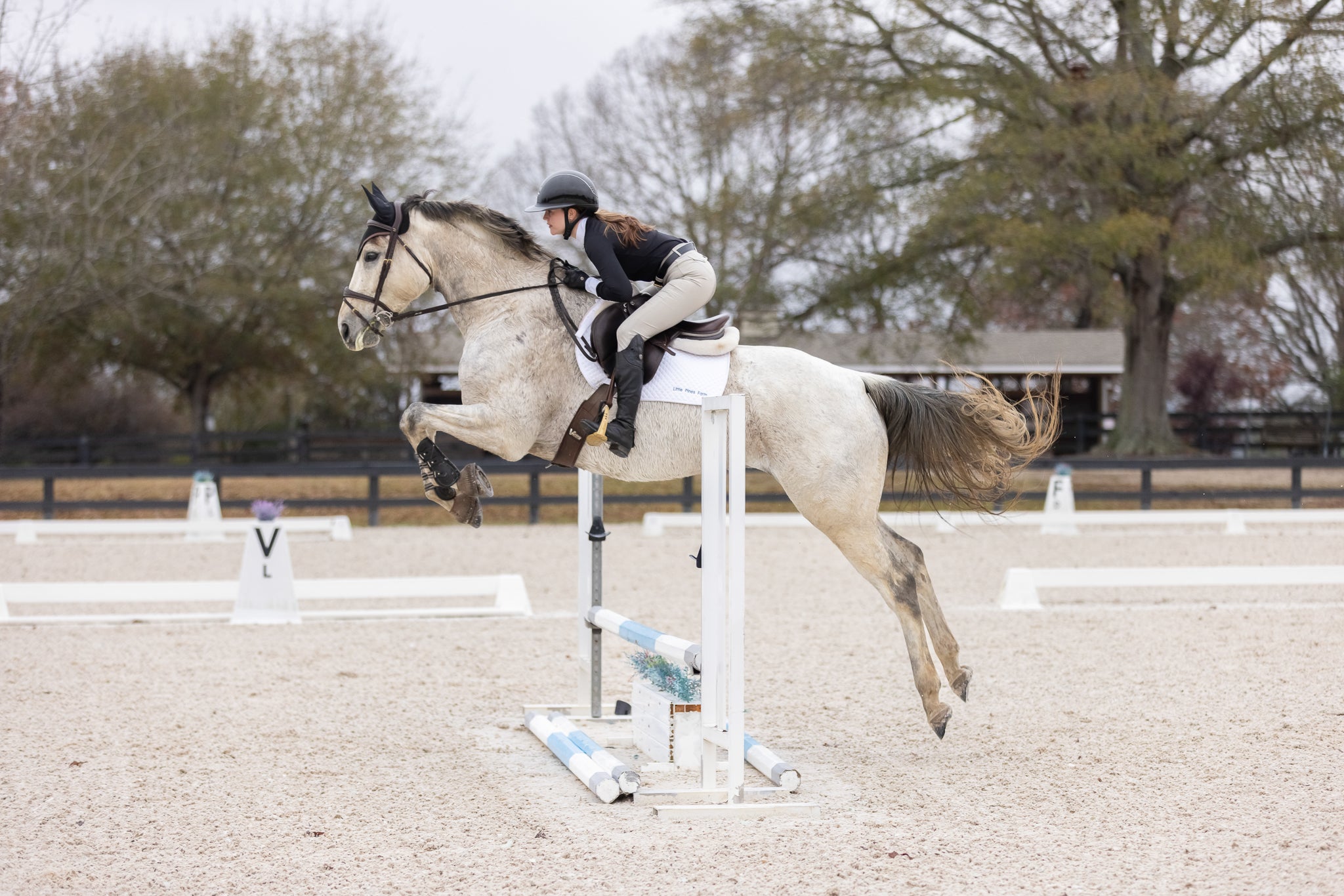 The Marian Show Shirt - Black